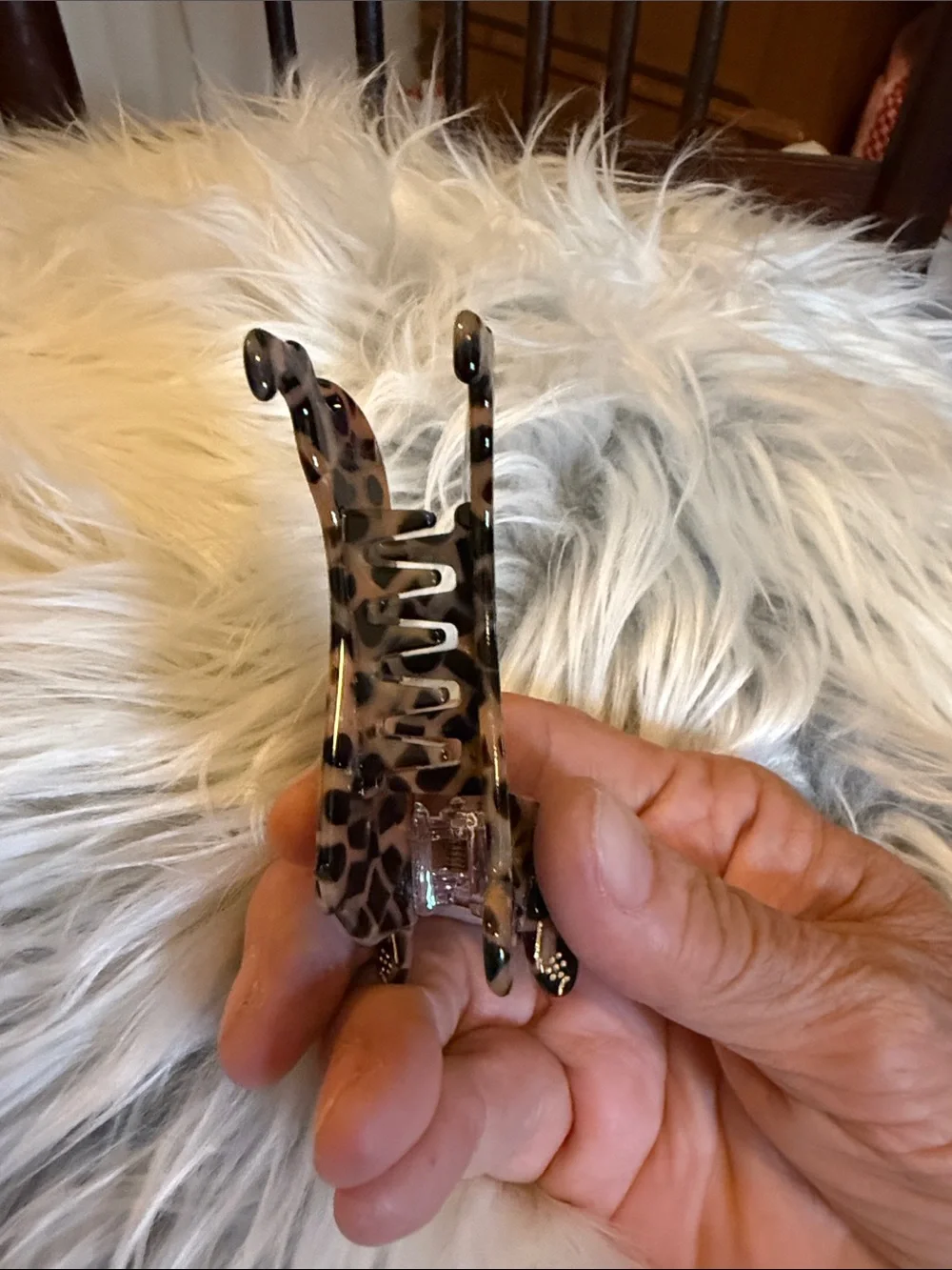 Leopard Print Dachshund Dog Hair Clamp - Brown and Black